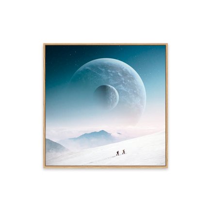 canvas pinus 1