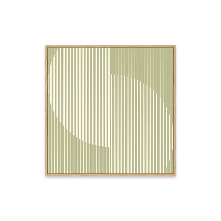 canvas pinus 1