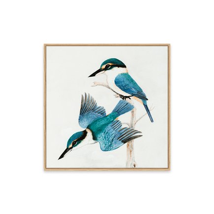 canvas pinus 1