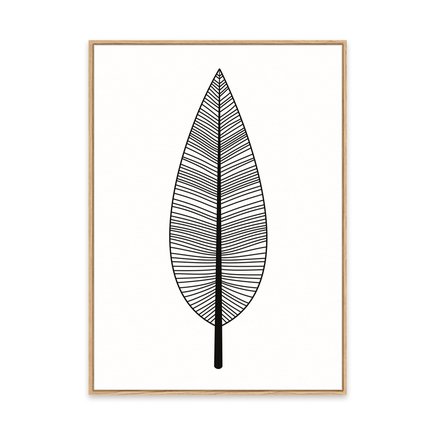 canvas pinus 1