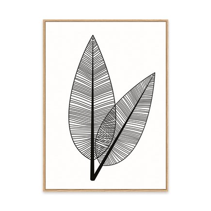 canvas pinus 1