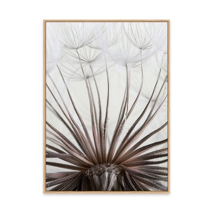 canvas pinus 1