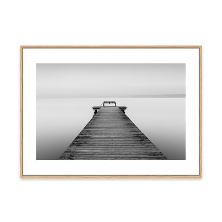 canvas pinus 1
