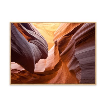 canvas pinus 1