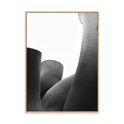 canvas pinus 1