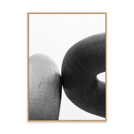 canvas pinus 1