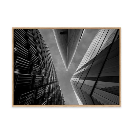 canvas pinus 1