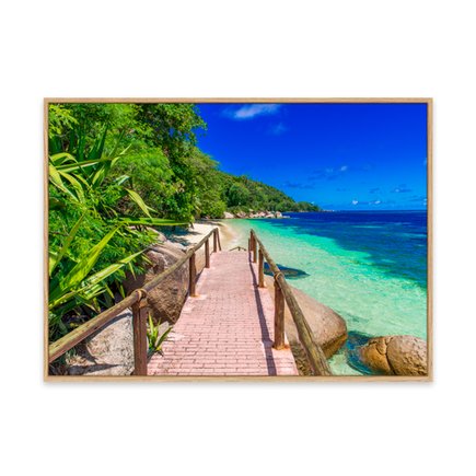 canvas pinus 1