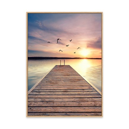 canvas pinus 1