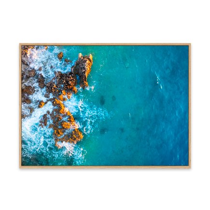 canvas pinus 1
