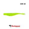 Isca Heckmann Shad Manjuba 60 Isca Heckmann Shad Manjuba 60