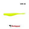 Isca Heckmann Shad Manjuba 60 Isca Heckmann Shad Manjuba 60