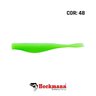 Isca Heckmann Shad Manjuba 60 Isca Heckmann Shad Manjuba 60