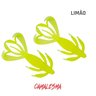 Isca Camalesma CRAZZY MOVE 11cm (Blister com 02 Un) Isca Camalesma CRAZZY MOVE 11cm (Blister com 02 Un)