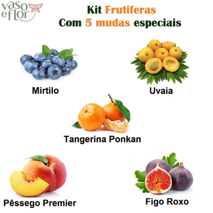 kit frutiferas