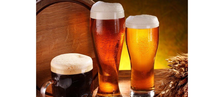 Tipos de copos de cerveja: entenda as diferenças e quando usar cada um