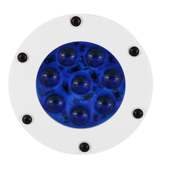 Mini Refletor LED Muito Forte Azul Impermeável A Prova Da Agua Plastico Resistente